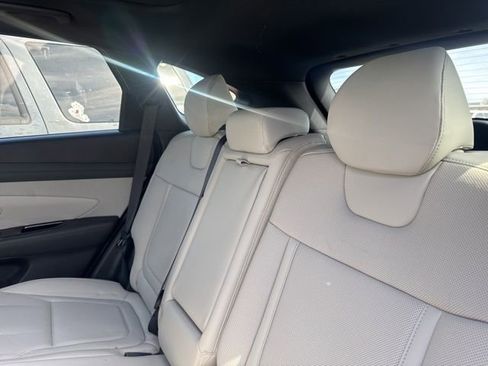Certified 2025 Hyundai Tucson Limited image 13