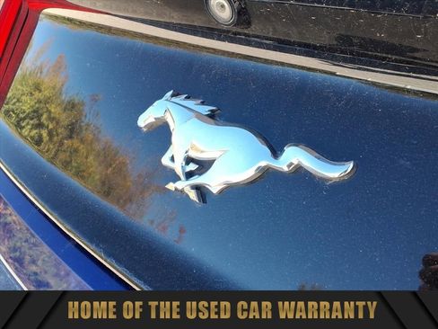 Used 2015 Ford Mustang Premium w/ Equipment Group 201A image 12