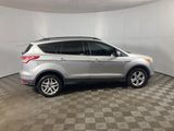 Used 2014 Ford Escape SE w/ Equipment Group 201A image 3