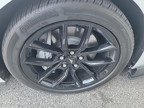 Used 2025 Ford Mustang GT w/ Mustang Nite Pony Package image 11