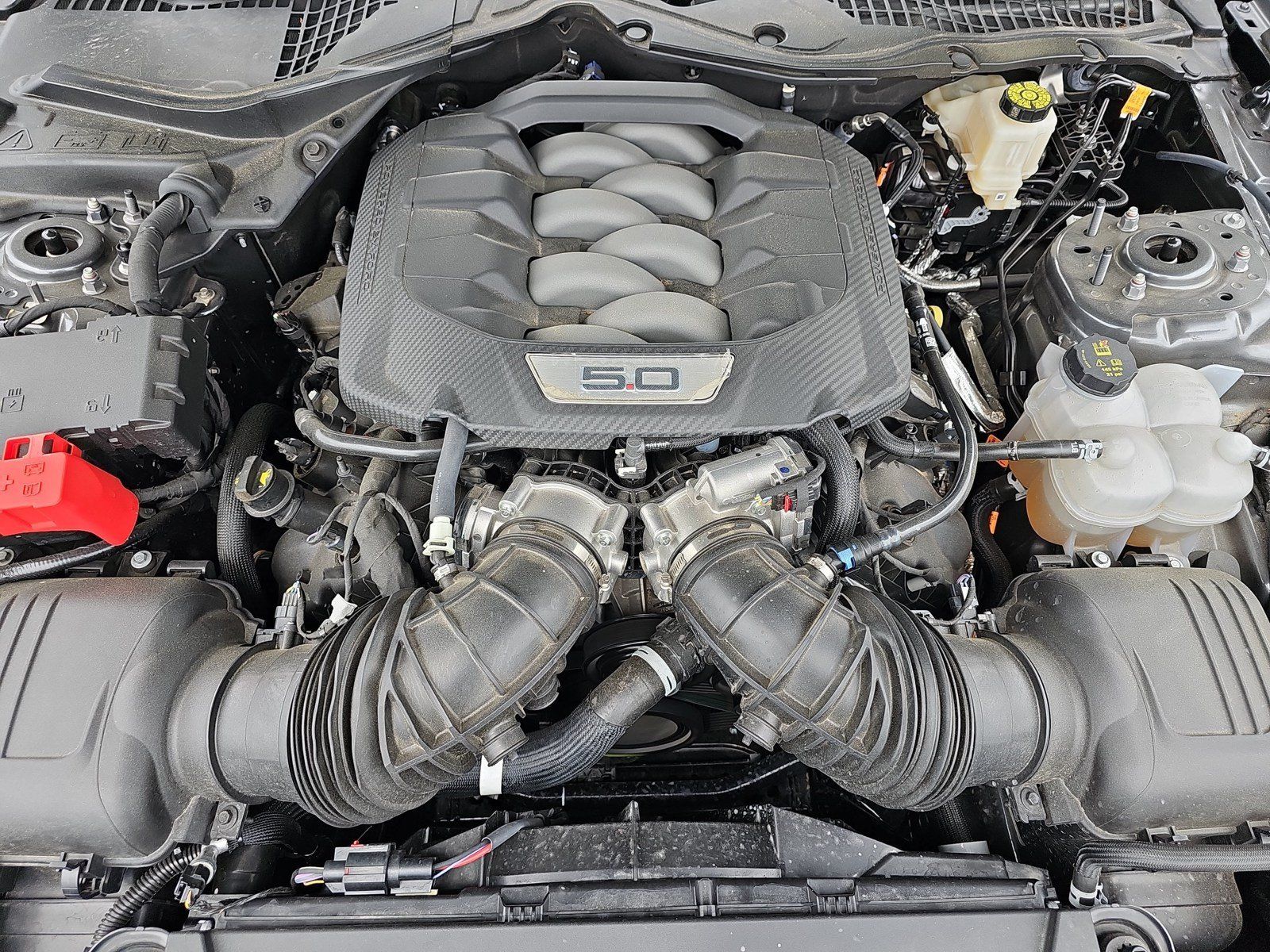 Used 2025 Ford Mustang GT RWD image 30