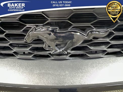 Used 2019 Ford Mustang EcoBoost w/ Equipment Group 101A image 29
