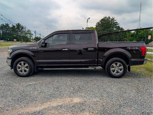 Used 2018 Ford F150 XLT w/ Equipment Group 302A Luxury AWD/4WD image 9