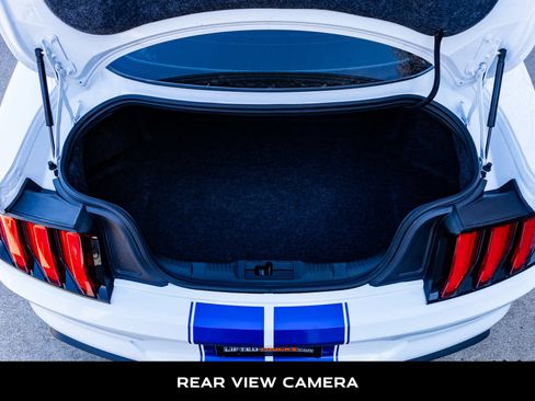 Used 2019 Ford Mustang GT w/ Equipment Group 301A image 8