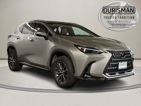 Used 2024 Lexus NX 350 AWD w/ Cold Area Package image 1