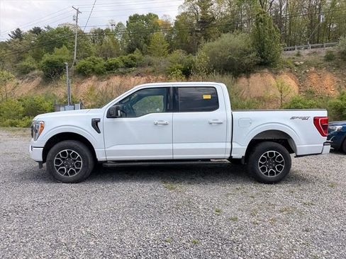Used 2023 Ford F150 XLT w/ Equipment Group 302A High AWD/4WD image 4