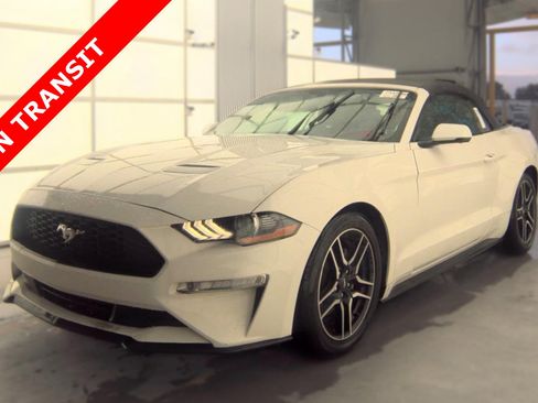 Used 2018 Ford Mustang Premium RWD image 1