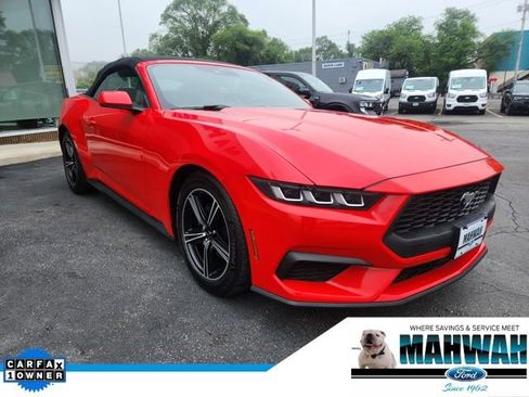 Used 2024 Ford Mustang Premium image 1