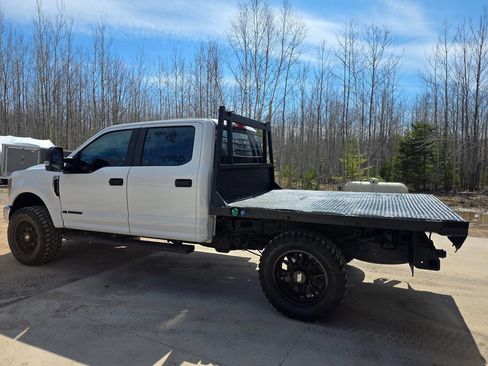 Used 2019 Ford F250 XL AWD/4WD image 4