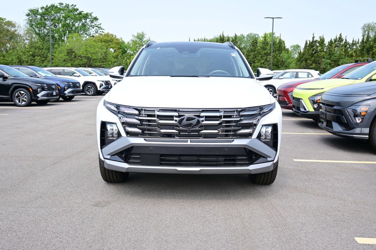Used 2025 Hyundai Tucson Limited AWD/4WD image 3
