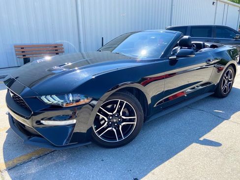 Used 2019 Ford Mustang Premium RWD image 13