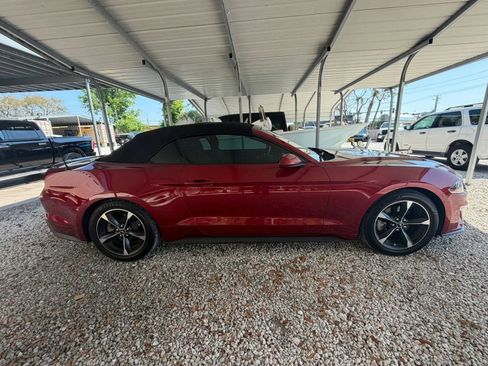Used 2018 Ford Mustang Convertible w/ Equipment Group 101A RWD image 3
