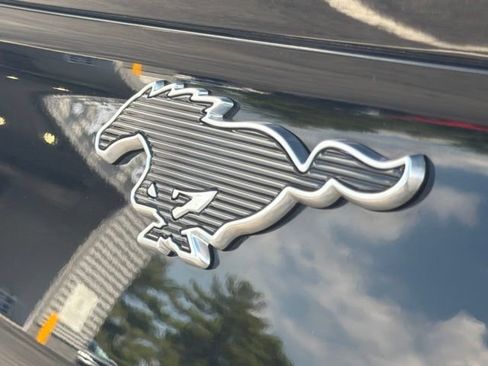 Used 2024 Ford Mustang Mach-E Select RWD image 11