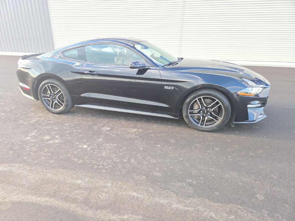 Used 2018 Ford Mustang GT w/ Equipment Group 301A RWD image 14