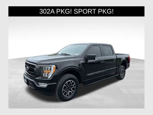 Used 2023 Ford F150 XLT w/ Equipment Group 302A High AWD/4WD image 1