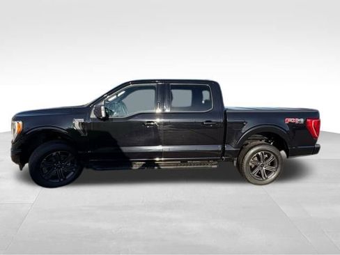 Used 2023 Ford F150 XLT w/ Equipment Group 302A High image 7