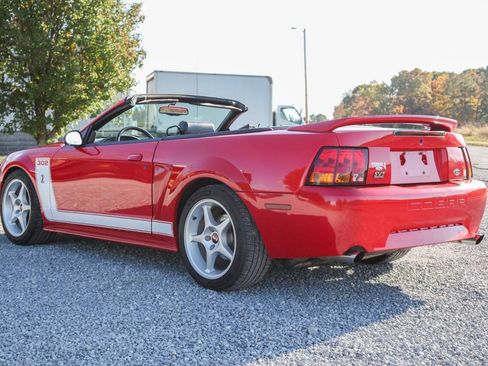 Used 1999 Ford Mustang Cobra RWD image 14
