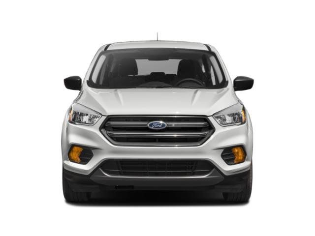 Used 2019 Ford Escape Titanium FWD image 4