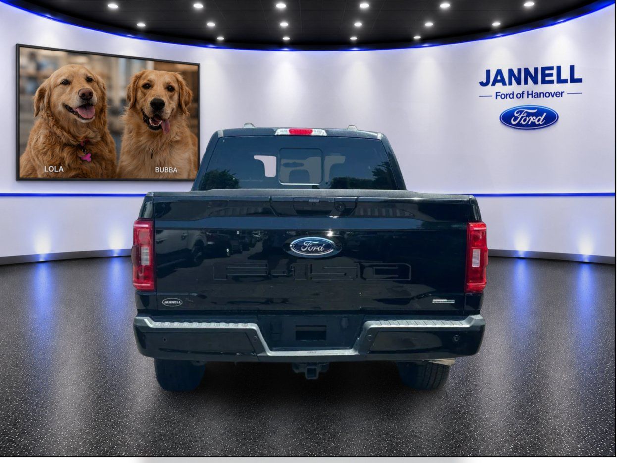 Used 2023 Ford F150 XLT w/ Equipment Group 302A High AWD/4WD image 7