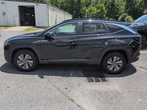 Used 2023 Hyundai Tucson Blue AWD/4WD image 4