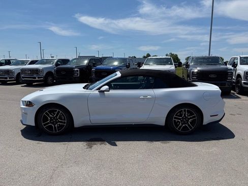 Used 2023 Ford Mustang Premium w/ Equipment Group 201A RWD image 21