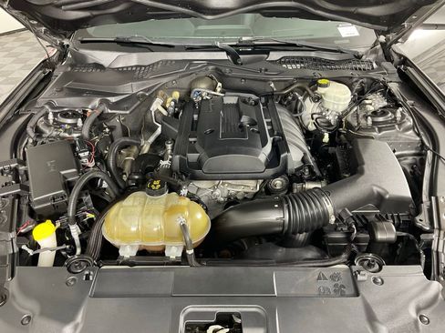 Used 2018 Ford Mustang Coupe w/ Black Accent Pkg RWD image 9