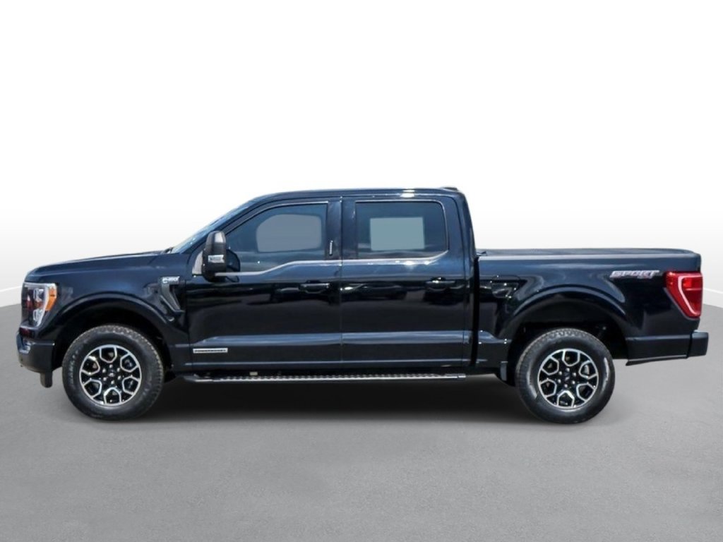 Used 2023 Ford F150 XLT w/ Equipment Group 302A High AWD/4WD image 7