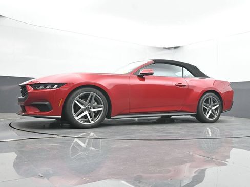 Used 2024 Ford Mustang Premium RWD image 44