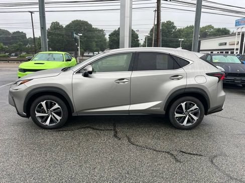 Used 2020 Lexus NX 300h AWD w/ Premium Package image 6