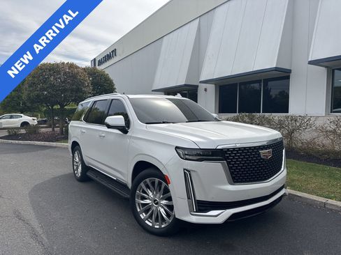 Used 2023 Cadillac Escalade Premium Luxury w/ Performance Package AWD/4WD image 1