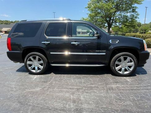 Used 2010 Cadillac Escalade Luxury AWD/4WD image 5