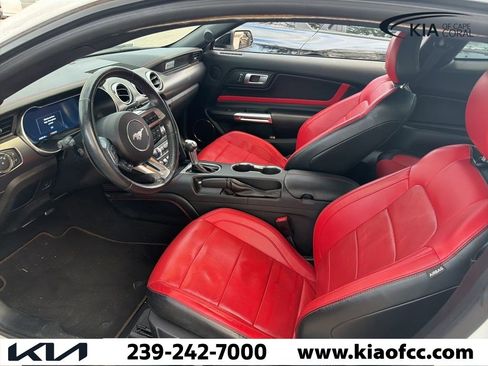 Used 2021 Ford Mustang Premium w/ Equipment Group 201A image 2