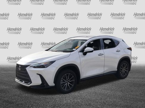 Certified 2024 Lexus NX 250 FWD w/ Cold Area Package image 5