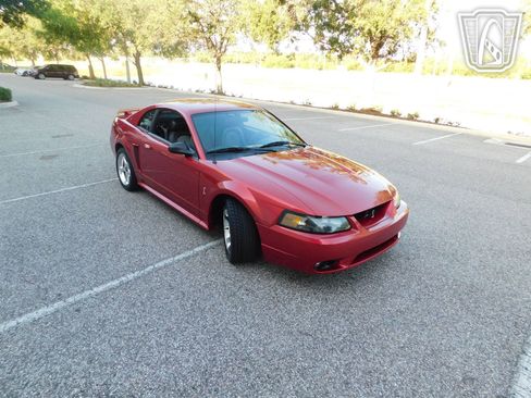 Used 2001 Ford Mustang Cobra image 8