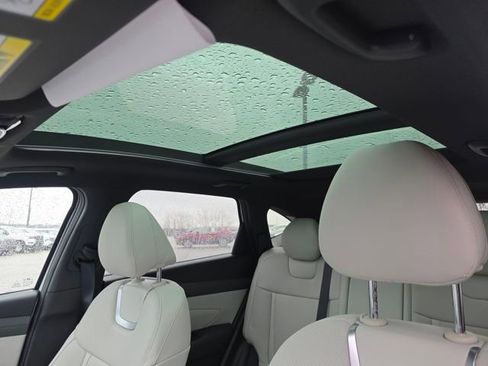 New 2026 Hyundai Tucson Limited image 4