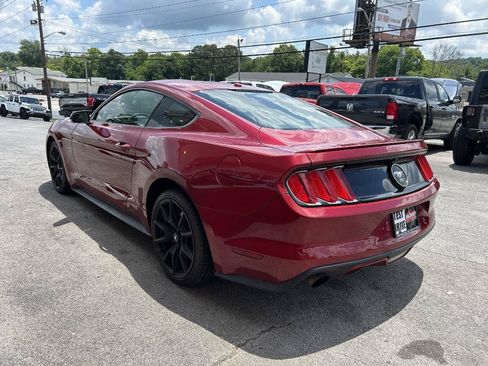 Used 2015 Ford Mustang Premium w/ Equipment Group 201A RWD image 4