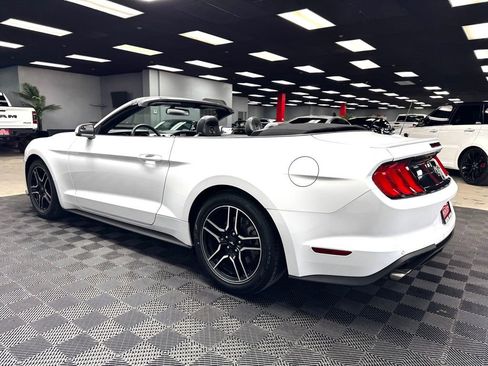 Used 2019 Ford Mustang Premium image 9