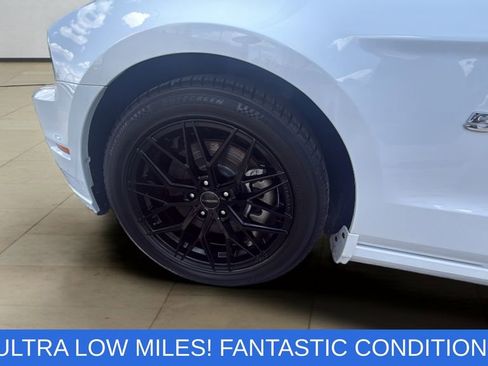 Used 2014 Ford Mustang GT w/ Equipment Group 401A RWD image 36