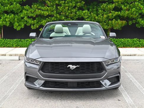 Used 2024 Ford Mustang Premium RWD image 2
