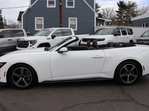 Used 2025 Ford Mustang Premium image 2