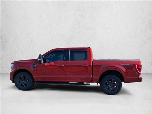 Used 2023 Ford F150 XLT w/ Equipment Group 302A High AWD/4WD image 8