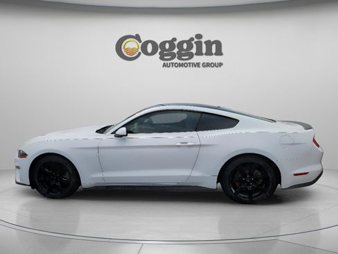 Used 2019 Ford Mustang Coupe w/ Equipment Group 101A image 3