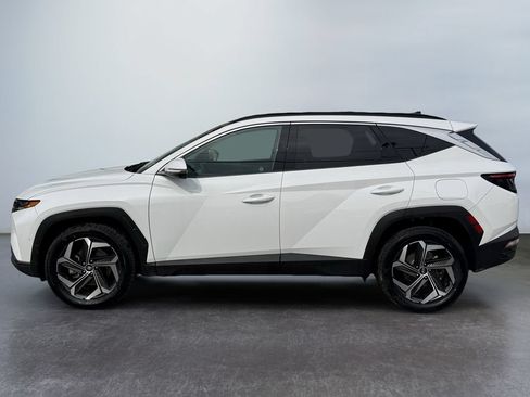 Used 2023 Hyundai Tucson Limited AWD/4WD image 8