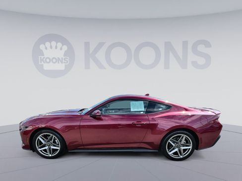 Used 2026 Ford Mustang Coupe RWD image 7