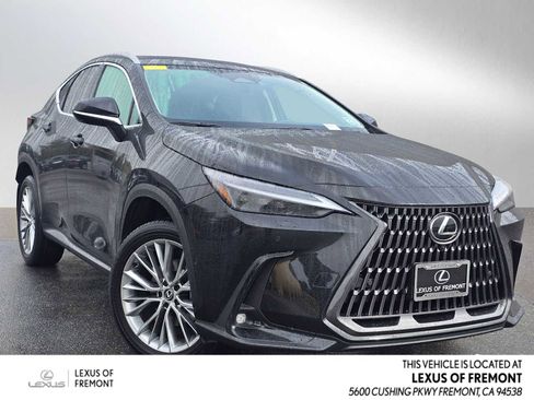 Certified 2025 Lexus NX 300h AWD w/ Luxury Package image 1