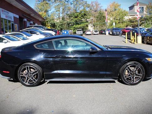 Used 2015 Ford Mustang Premium w/ Equipment Group 201A image 6