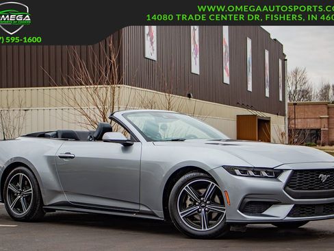 Used 2024 Ford Mustang Premium image 1