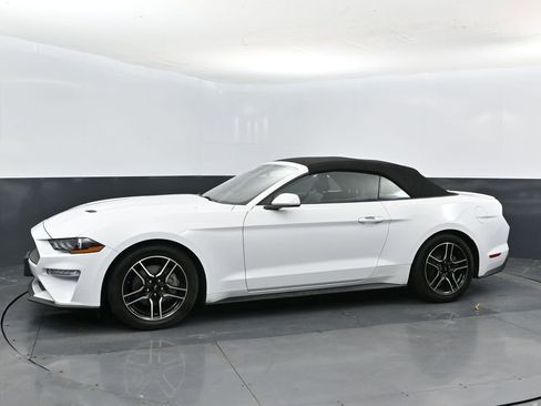 Used 2023 Ford Mustang Premium RWD image 10