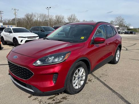 Used 2020 Ford Escape SE image 1