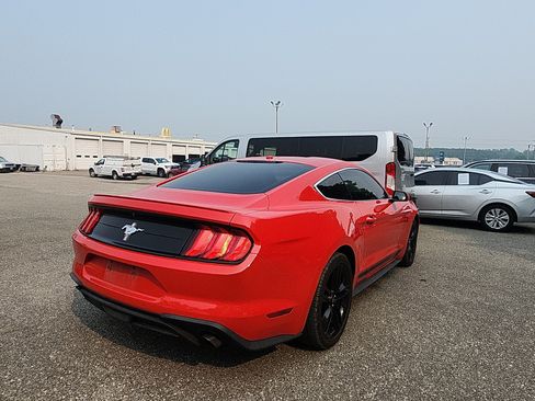 Used 2019 Ford Mustang Premium w/ Equipment Group 201A RWD image 5